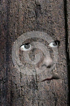 Face in wood 3