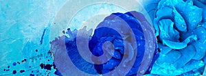 Facebook banners with blue rose and water drops