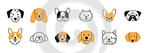 Faces of different breeds dogs set. Corgi, Beagle, Spitz Chihuahua, Terrier, Retriever, Spaniel, Poodle. Collection of