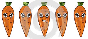 Faces of five carrots