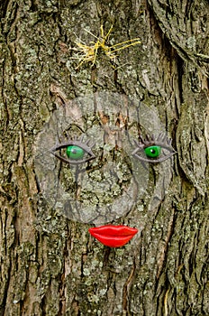 Facial features on tree