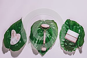 Facial roller, gua sha and moisturizing cream on green leaves. Natural cosmetics and facial tools on pink. Rose quartz beauty