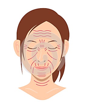 Facial wrinkles ( female face ) vector illustration / no text