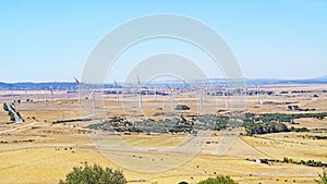 Facinas in CÃ¡diz and surroundings with wind farm, Andalusia photo