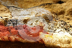 Facsimile reproduction of a red bull from Lascaux cave in Dordogne