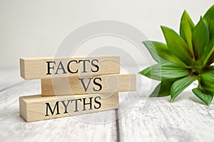 Fact vs myth symbol. Concept words Fact vs myth on wooden blocks