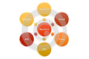 Factors that affect bacterial