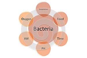 Factors that affect bacterial