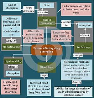 Factors affecting the absorption of drugs