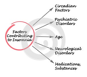 Factors Contributing to Insomnia