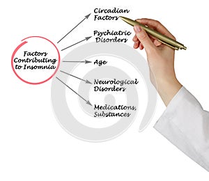 Factors Contributing to Insomnia