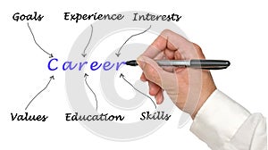 Factors determining success in career