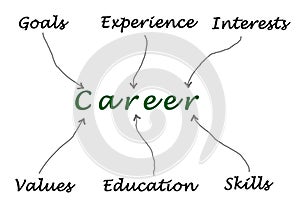 Factors determining success in career photo