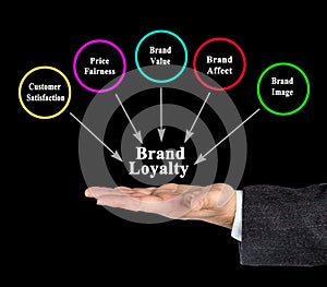 Factors influencing Brand Loyalty