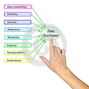Factors Influencing Data Resilience