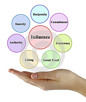 Factors influencing preference of person