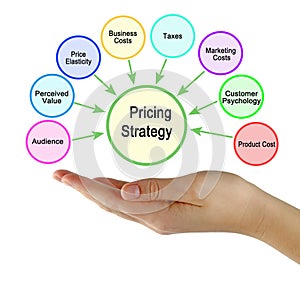 Factors Influencing Pricing Strategy