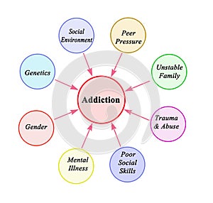 Factors leading to Addiction