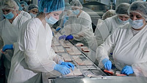 Factory conveyor with many female employees packing food