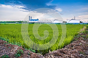 The factory and field