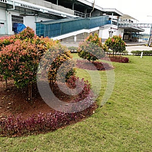 Factory garden photo