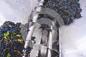 Factory processing of grapes