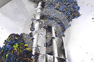 Factory processing of grapes