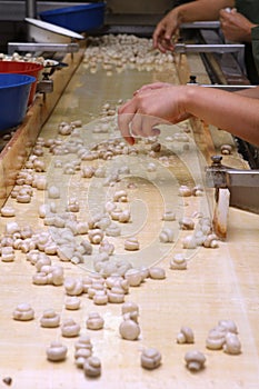 Factory for the production of canned champignons. Washing, conveyor, cleaning and packaging of champignons.