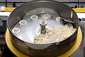 Factory for the production of canned champignons. Washing, conveyor, cleaning and packaging of champignons.