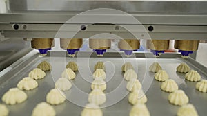 Factory for the production of cookies and baked goods. A conveyor machine pours cream onto cookies. An industrial