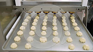 Factory for the production of cookies and baked goods. A conveyor machine pours cream onto cookies. An industrial