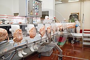 Factory for the production of food from meat.Industrial equipment at a meat factory.Automated production line in modern food
