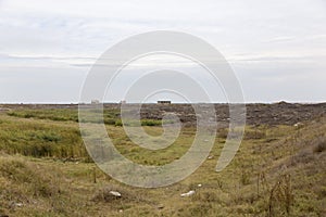 Factory ruins at the edge of Calarasi city