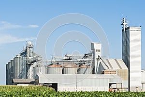 Factory for storage cereals