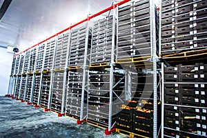 Factory warehouse stock boxes with fruits and vegetables