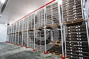 Factory warehouse stock boxes