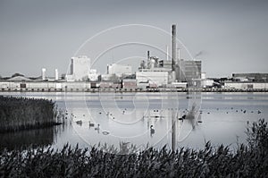 Factory and wildlife