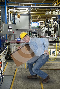 Factory Worker, Back Injury, Safety photo