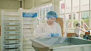 Factory worker checking packing machine. Candy factory.