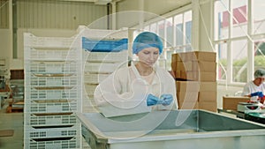 Factory worker checking packing machine. Candy factory.
