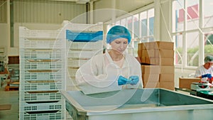 Factory worker checking packing machine. Candy factory.