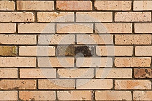 Faded brick wall background. Colored bricks facade.