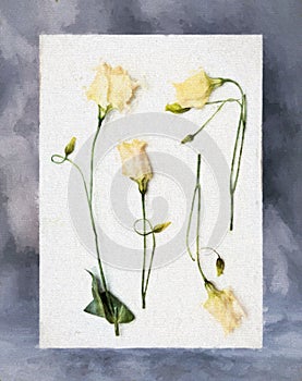 Faded eustoma flowers in artistic and filtered composition.