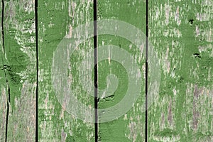 Faded green old wooden planking background with flaws and splits photo