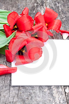 faded red tulips on the oak brown table with white sheet of paper