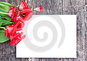 faded red tulips on the oak brown table with white sheet of paper