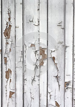 Faded white paint peeling on old wooden barn siding