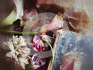 Fading flowers and old book textures