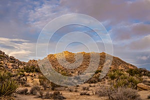 Fading Light Hits The Top Of Rock Formations Along Window Loop Trail In Joshua Tree