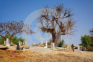 Fadiouth shell island cemetery in Senegal with a baobab tree